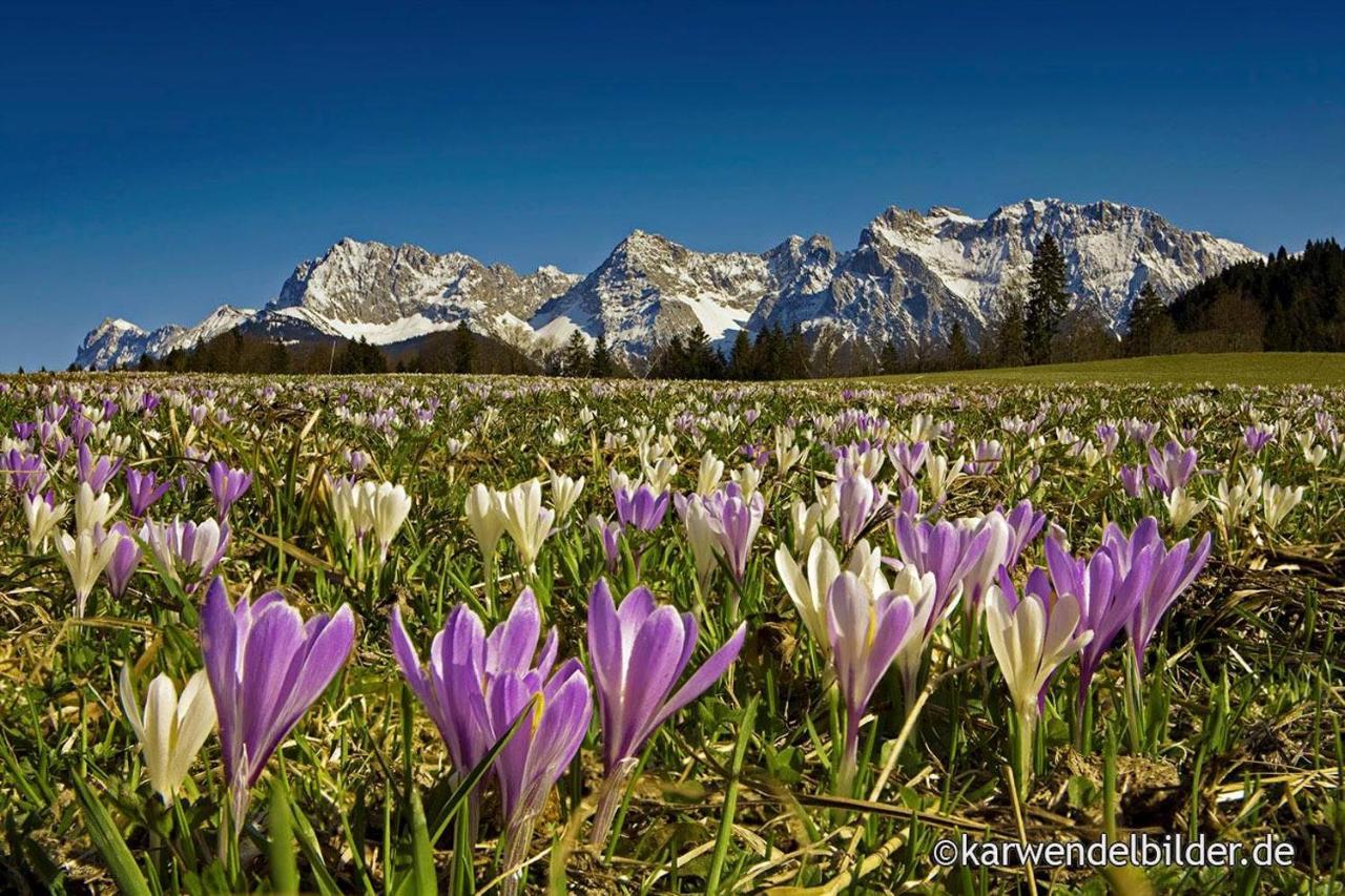 Ferienhotel Barmsee Krün エクステリア 写真